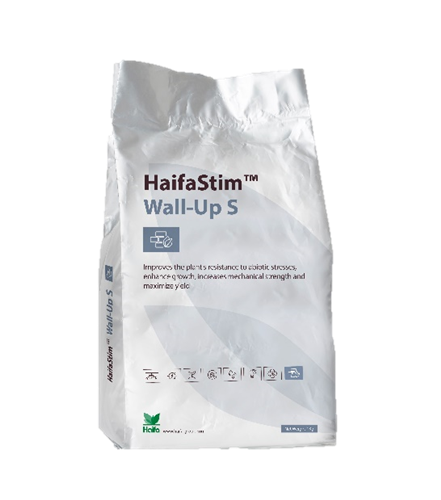 HaifaStim Wall-Up S   12 x 1kg