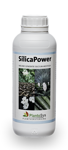 SilicaPower 1 liter