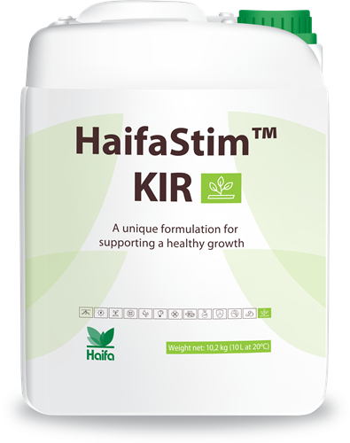HaifaStim KIR 10 ltr